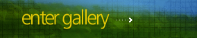 enter gallery